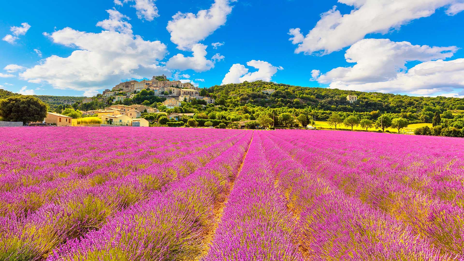 ZAN—vers-une-paix-des-braves—JBBL-Conseils—Agence-de-conseils-et-formations-aux-élus-à-Tonneins-en-Lot-et-Garonne-47