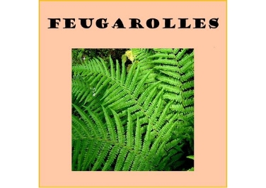 Feugarolles - JBBL Conseils - Agence de formation et conseil des élus en Lot-et-Garonne – 1