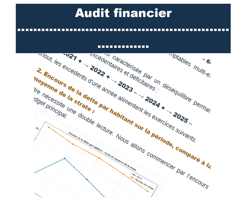 Audit